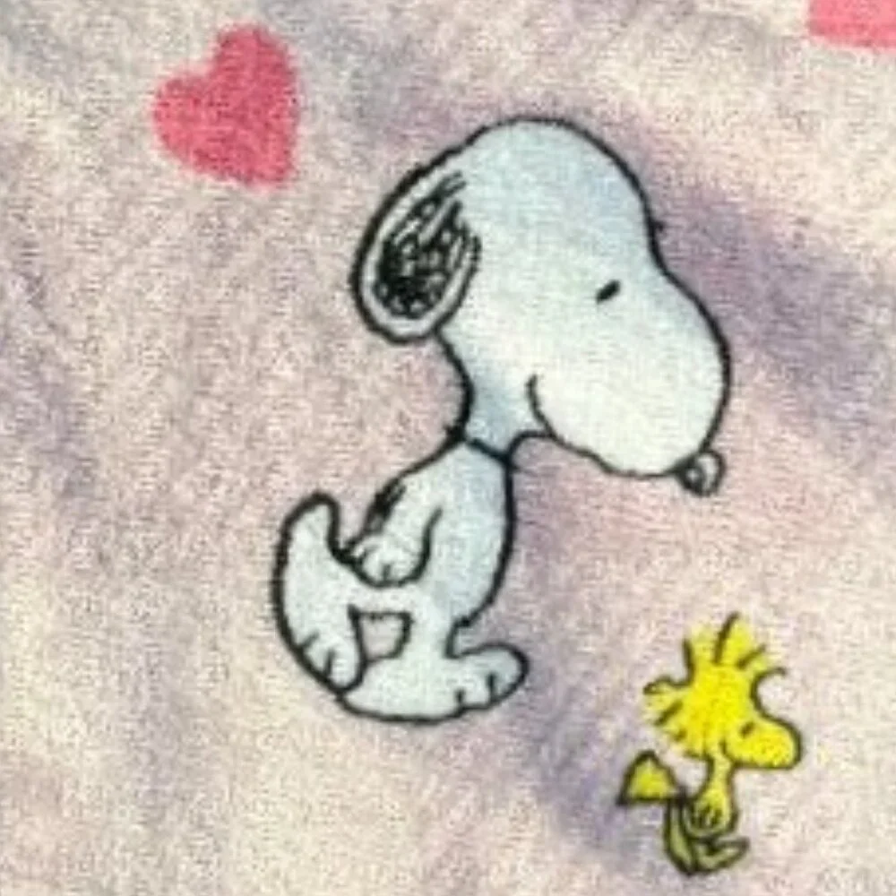 NWT PEANUTS SNOOPY DOG & WOODSTOCK BIRD LOVE HEARTS HUGS PINK 60